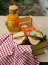 Picnic - sandwiches and lemonade Royalty Free Stock Photo