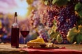 Picnic scene with bottle of wine and glass on table, cheese and crackers on plate. Vineyard with sunlit on background Royalty Free Stock Photo