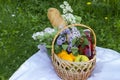 Basket with fruits for a picnic. Picnic in the park on the grass