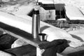 Picnic scene with thermos cup and gloves in black and white