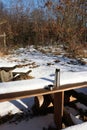 Picnic scene with thermos cup and gloves in forest