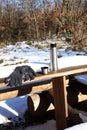 Picnic scene with thermos cup and gloves in winter