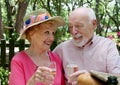 Picnic Seniors - Champagne Toast Royalty Free Stock Photo