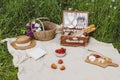 Picnic set with fruit, cheese, baguette, strawberry, wine with flowers in a wicker basket on plaid. Royalty Free Stock Photo