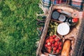 Picnic set with fruit, cheese, honey, strawberries, grapes, baguette, wine, wicker basket for picnic on plaid over green Royalty Free Stock Photo