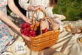 Picnic set with fruit, cheese, toast, honey, wine with a wicker basket and a blanket. Beautiful summer background with Royalty Free Stock Photo