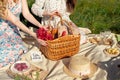 Picnic set with fruit, cheese, toast, honey, wine with a wicker basket and a blanket. Beautiful summer background with Royalty Free Stock Photo