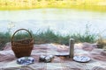 Picnic set, metal Cutlery, thermos, plates tea cups. brown plaid and napkin from the lake in the background. green grass. Sunny su