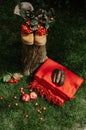 Picnic setting with hiking boots on a stump and red plaid on a grass outdoors.