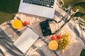 Picnic setting on a outdoor table with fresh fruit, laptop, phone, camera Royalty Free Stock Photo