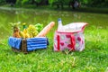 Picnic setting with white wine, pears, fruits, Royalty Free Stock Photo