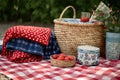 picnic setup with red, white, and blue checkered blanket and basket Royalty Free Stock Photo