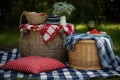 picnic setup with red, white, and blue checkered blanket and basket Royalty Free Stock Photo