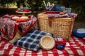 picnic setup with red, white, and blue checkered blanket and basket Royalty Free Stock Photo