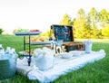 Picnic setup for special event celebration on meadow