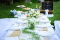 Picnic setup for special event celebration on meadow with a decoative table