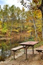 Picnic on the shore of autumnal forest lake Royalty Free Stock Photo