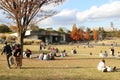 Picnic in Showa Memorial Park Royalty Free Stock Photo