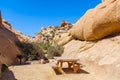 Picnic spot in a desert Royalty Free Stock Photo