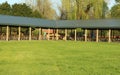 Picnic spot in a park Royalty Free Stock Photo