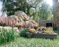 picnic stilllife on nature background with ancient ruins,bread and pitcher