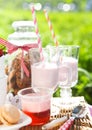 Picnic with strawberry, cookies, strawberry milk, jelly and macaroons