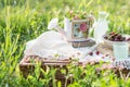 Picnic suitcase with crocheted tablecloth, cherries in plate, bottle and glass with refreshing drink Royalty Free Stock Photo