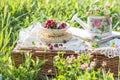 Picnic suitcase with crocheted tablecloth, cherries in a plate, decorated vase  watering can  with clovers in it on the book, picn Royalty Free Stock Photo