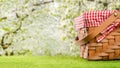 Picnic and summer mood. Basket for picnic, on green grass, lawn. Against the background of the landscape. Concept of weekend and Royalty Free Stock Photo