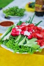 A picnic in the summer on the nature. on a plate of chopped fresh vegetables: tomatoes, cucumbers, radishes, salad