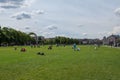 Picnic, sunny day, amsterdam