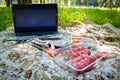 Picnic. Sushi outdoors on a summer day