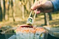 Picnic. Sushi outdoors on a summer day