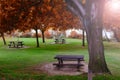 picnic table in autumn park Royalty Free Stock Photo