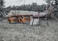 Picnic table and BBQ pit at a forest campsite in Oregon Royalty Free Stock Photo