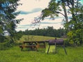 Picnic table and BBQ pit at a forest campsite in Oregon Royalty Free Stock Photo