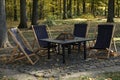 Picnic table and chairs in beautiful autumnal forest Royalty Free Stock Photo