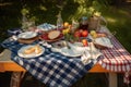 picnic table with checkered blanket, dishes, and cutlery for elegant picnic