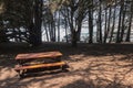Picnic table at the coast, Ragged Point Royalty Free Stock Photo