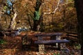 Picnic table covered with leaves in the forest Royalty Free Stock Photo