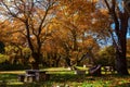 Picnic table covered with leaves in the forest Royalty Free Stock Photo