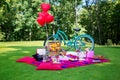 Picnic table and decor at bachelorette party on the nature Royalty Free Stock Photo