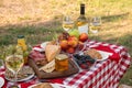 Picnic table with tasty snacks and wine