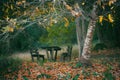 Picnic Table Royalty Free Stock Photo