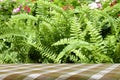 Picnic table with green garden background. Royalty Free Stock Photo