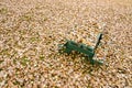 Picnic table hidden under golden autumn leaves Royalty Free Stock Photo