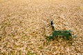 Picnic table hidden under golden autumn leaves Royalty Free Stock Photo