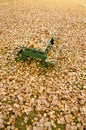 Picnic table hidden under golden autumn leaves Royalty Free Stock Photo