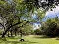 Picnic Table in Kapiolani Park at during day Royalty Free Stock Photo