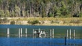 Picnic table at Lake Rotoroa, Nelson Lakes National Park, New Zealand Royalty Free Stock Photo